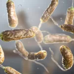 Que es la bacteria come carne y por que preocupa ?